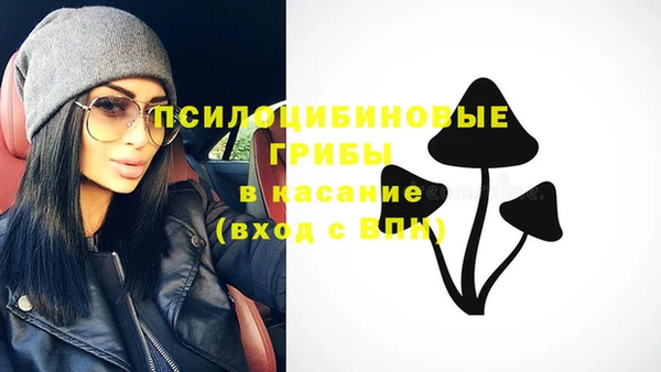 ECSTASY Богородицк