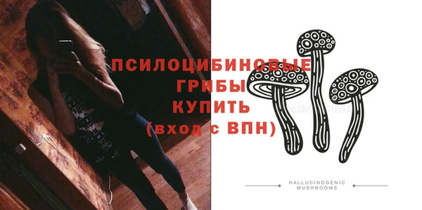ECSTASY Богородицк