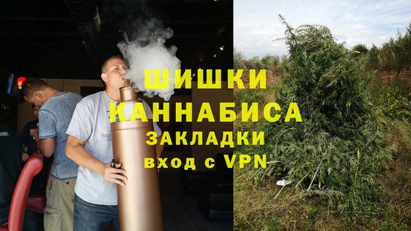 ECSTASY Богородицк