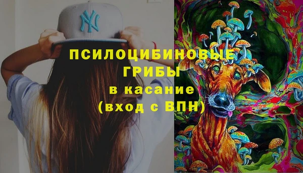ECSTASY Богородицк