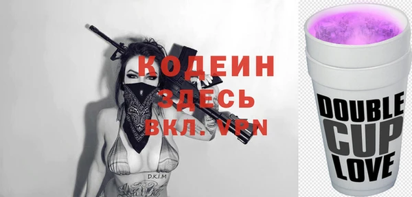ECSTASY Богородицк