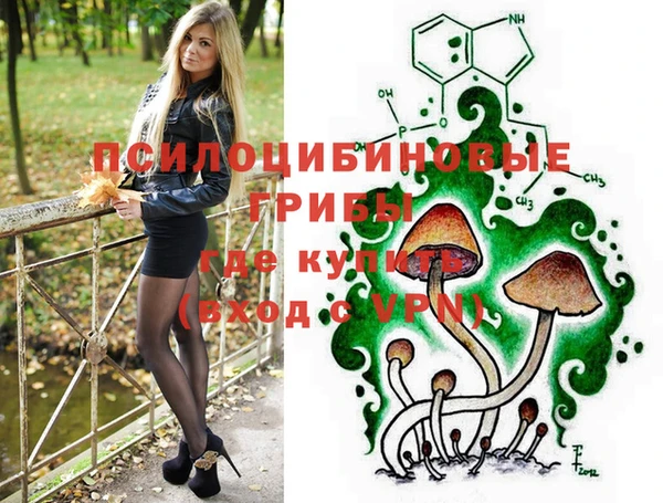 a pvp Богданович