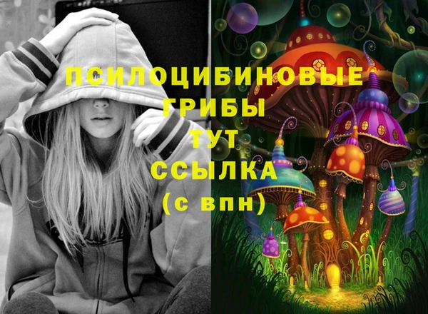 ECSTASY Богородицк