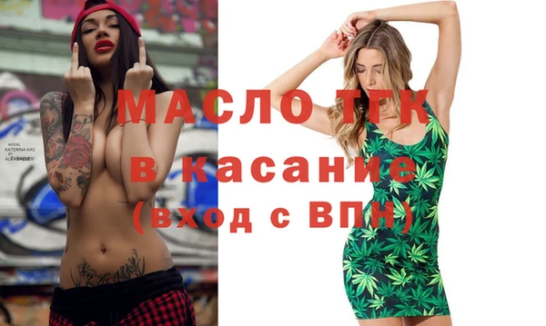 ECSTASY Богородицк