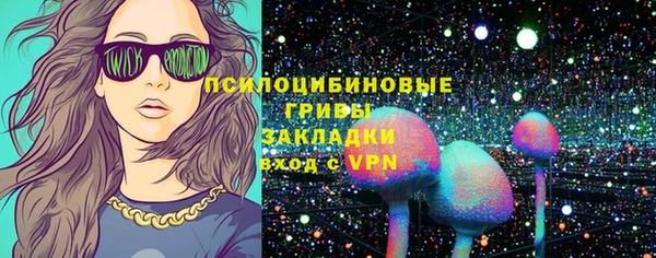 a pvp Богданович