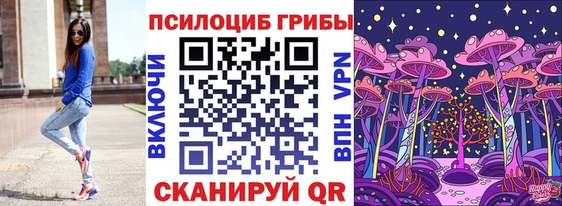 дарк нет наркотические препараты  Медногорск  Галлюциногенные грибы ЛСД 