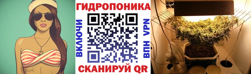 Каннабис семена  Медногорск 